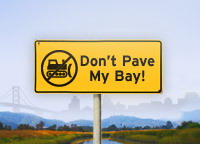 Don't Pave My Bay