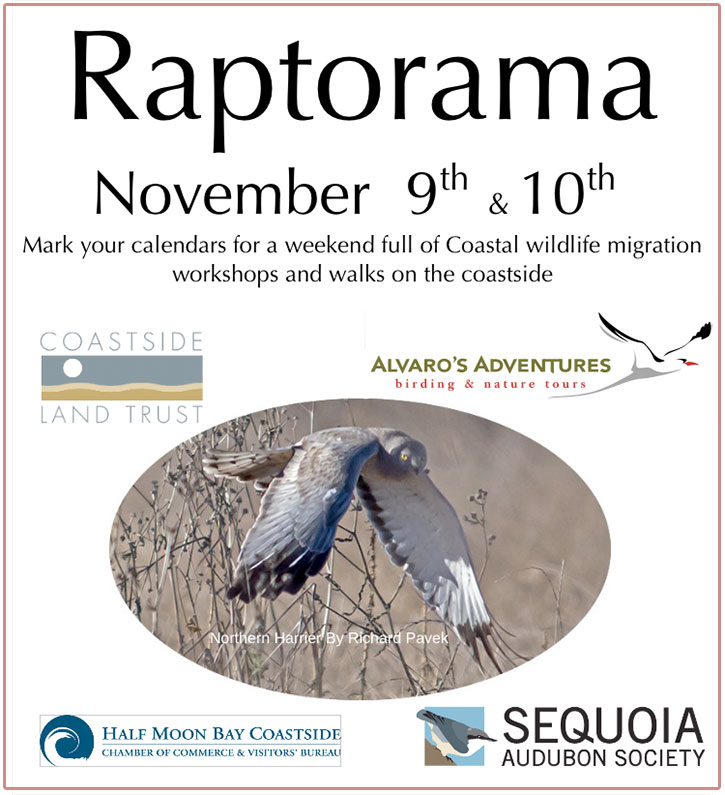 Raptorama