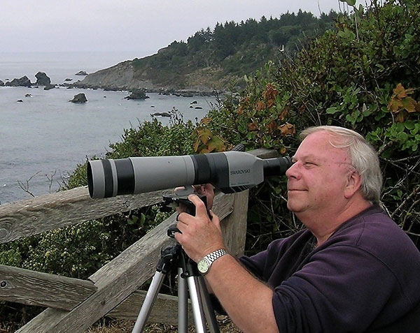 Barry Sauppe