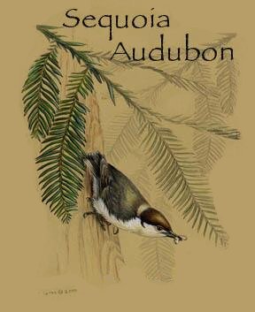 Sequoia Audubon Society