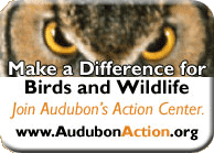 Join the Audubon Action Center